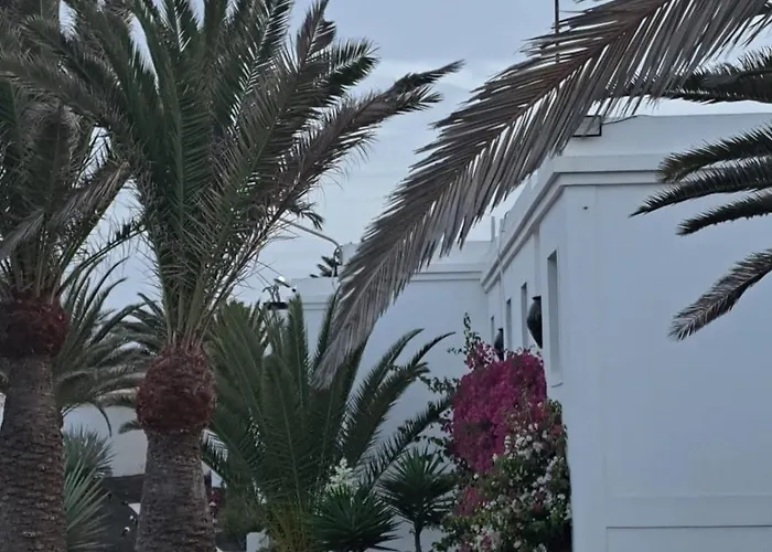 Ainely Corralejo