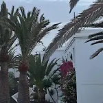 Ainely Corralejo